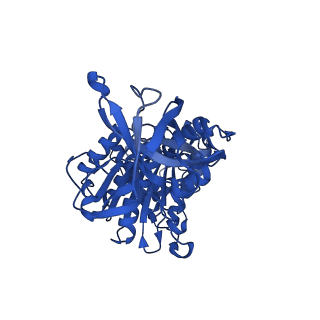 29653_8g0c_F_v1-2
Cryo-EM structure of TBAJ-876-bound Mycobacterium smegmatis ATP synthase rotational state 1 (backbone model)