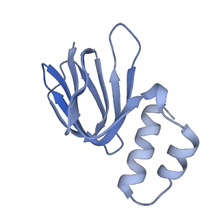 29653_8g0c_H_v1-2
Cryo-EM structure of TBAJ-876-bound Mycobacterium smegmatis ATP synthase rotational state 1 (backbone model)