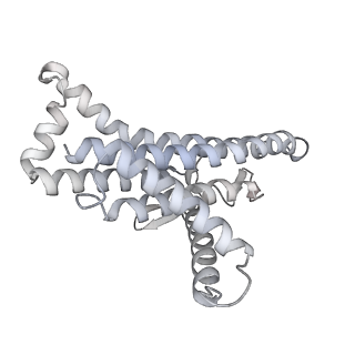 29653_8g0c_a_v1-2
Cryo-EM structure of TBAJ-876-bound Mycobacterium smegmatis ATP synthase rotational state 1 (backbone model)