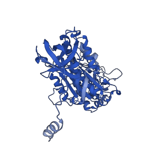 29654_8g0d_A_v1-2
Cryo-EM structure of TBAJ-876-bound Mycobacterium smegmatis ATP synthase rotational state 2 (backbone model)