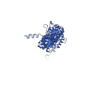29654_8g0d_B_v1-2
Cryo-EM structure of TBAJ-876-bound Mycobacterium smegmatis ATP synthase rotational state 2 (backbone model)
