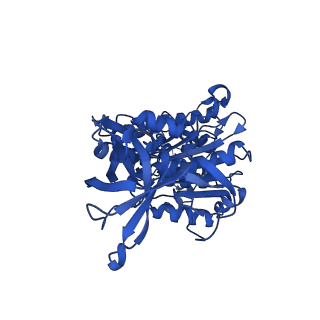 29654_8g0d_D_v1-2
Cryo-EM structure of TBAJ-876-bound Mycobacterium smegmatis ATP synthase rotational state 2 (backbone model)