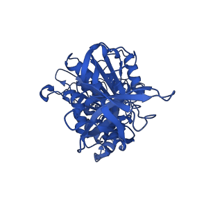 29654_8g0d_E_v1-2
Cryo-EM structure of TBAJ-876-bound Mycobacterium smegmatis ATP synthase rotational state 2 (backbone model)