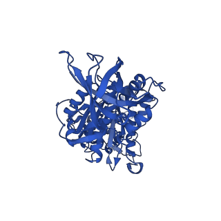 29654_8g0d_F_v1-2
Cryo-EM structure of TBAJ-876-bound Mycobacterium smegmatis ATP synthase rotational state 2 (backbone model)