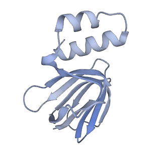 29654_8g0d_H_v1-2
Cryo-EM structure of TBAJ-876-bound Mycobacterium smegmatis ATP synthase rotational state 2 (backbone model)