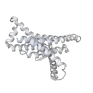 29654_8g0d_a_v1-2
Cryo-EM structure of TBAJ-876-bound Mycobacterium smegmatis ATP synthase rotational state 2 (backbone model)