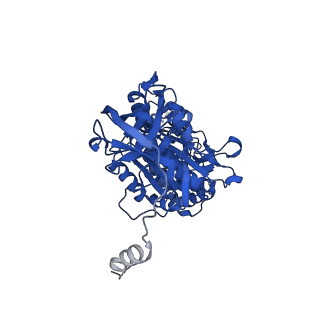 29655_8g0e_A_v1-2
Cryo-EM structure of TBAJ-876-bound Mycobacterium smegmatis ATP synthase rotational state 3