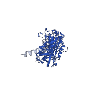 29655_8g0e_B_v1-2
Cryo-EM structure of TBAJ-876-bound Mycobacterium smegmatis ATP synthase rotational state 3