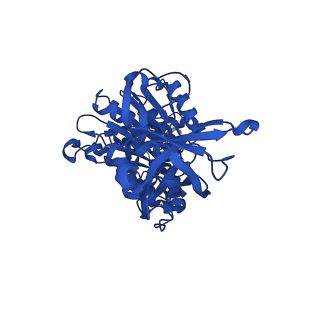 29655_8g0e_E_v1-2
Cryo-EM structure of TBAJ-876-bound Mycobacterium smegmatis ATP synthase rotational state 3