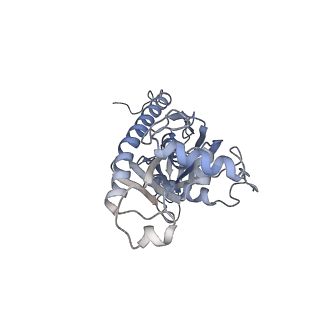 3366_5g06_A_v1-3
Cryo-EM structure of yeast cytoplasmic exosome