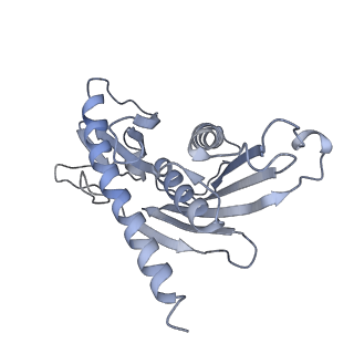 3366_5g06_B_v1-3
Cryo-EM structure of yeast cytoplasmic exosome
