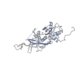 3366_5g06_C_v1-3
Cryo-EM structure of yeast cytoplasmic exosome