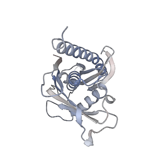 3366_5g06_D_v1-3
Cryo-EM structure of yeast cytoplasmic exosome
