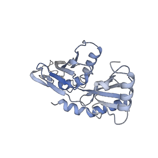 3366_5g06_E_v1-3
Cryo-EM structure of yeast cytoplasmic exosome