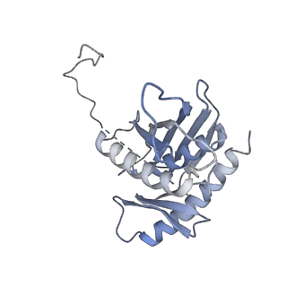 3366_5g06_F_v1-3
Cryo-EM structure of yeast cytoplasmic exosome