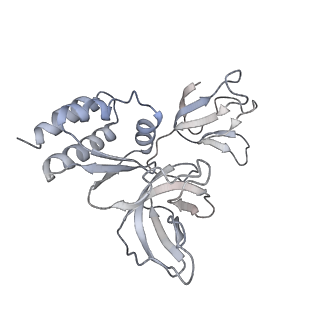 3366_5g06_G_v1-3
Cryo-EM structure of yeast cytoplasmic exosome