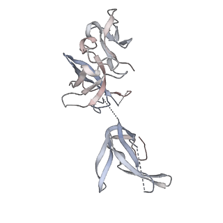 3366_5g06_I_v1-3
Cryo-EM structure of yeast cytoplasmic exosome
