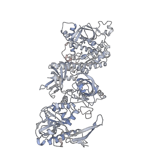 3366_5g06_J_v1-3
Cryo-EM structure of yeast cytoplasmic exosome