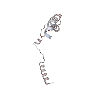 3366_5g06_P_v1-3
Cryo-EM structure of yeast cytoplasmic exosome