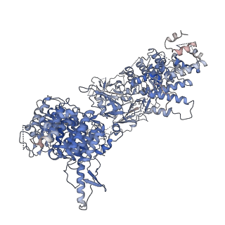 3385_5g04_A_v1-0
Structure of the human APC-Cdc20-Hsl1 complex