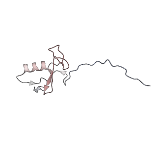 3385_5g04_B_v1-0
Structure of the human APC-Cdc20-Hsl1 complex