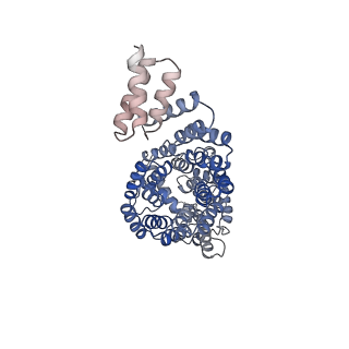 3385_5g04_C_v1-0
Structure of the human APC-Cdc20-Hsl1 complex