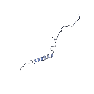3385_5g04_D_v1-0
Structure of the human APC-Cdc20-Hsl1 complex