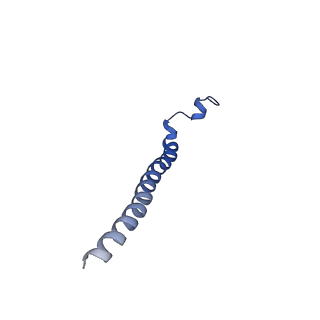 3385_5g04_E_v1-0
Structure of the human APC-Cdc20-Hsl1 complex