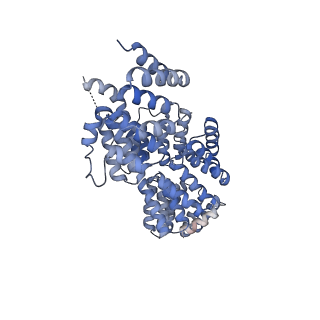 3385_5g04_F_v1-0
Structure of the human APC-Cdc20-Hsl1 complex