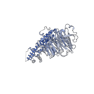 3385_5g04_I_v1-0
Structure of the human APC-Cdc20-Hsl1 complex