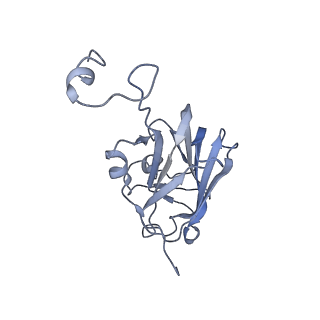 3385_5g04_L_v1-0
Structure of the human APC-Cdc20-Hsl1 complex