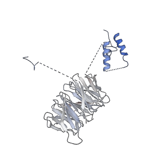 3385_5g04_R_v1-0
Structure of the human APC-Cdc20-Hsl1 complex