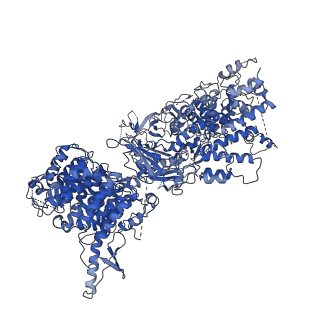 3388_5g05_A_v1-1
Cryo-EM structure of combined apo phosphorylated APC