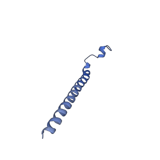 3388_5g05_E_v1-1
Cryo-EM structure of combined apo phosphorylated APC