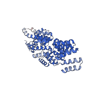 3388_5g05_H_v1-1
Cryo-EM structure of combined apo phosphorylated APC