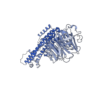 3388_5g05_I_v1-1
Cryo-EM structure of combined apo phosphorylated APC