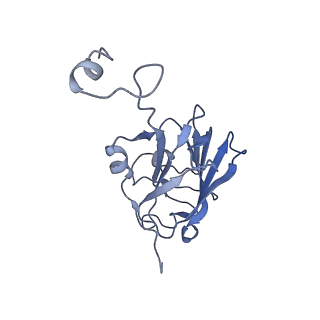 3388_5g05_L_v1-1
Cryo-EM structure of combined apo phosphorylated APC