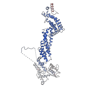 3388_5g05_N_v1-1
Cryo-EM structure of combined apo phosphorylated APC