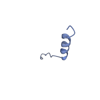 3388_5g05_W_v1-1
Cryo-EM structure of combined apo phosphorylated APC