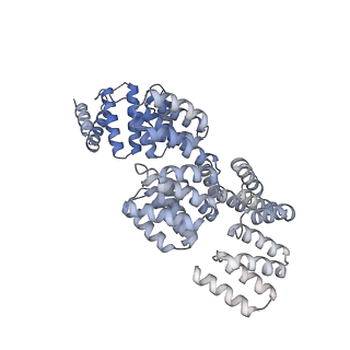 3388_5g05_X_v1-1
Cryo-EM structure of combined apo phosphorylated APC