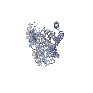 3388_5g05_Y_v1-1
Cryo-EM structure of combined apo phosphorylated APC
