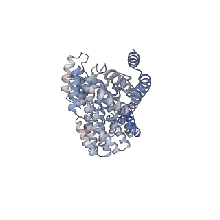 3388_5g05_Y_v2-0
Cryo-EM structure of combined apo phosphorylated APC