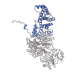 29668_8g1e_A_v1-0
Structure of ACLY-D1026A-products-asym