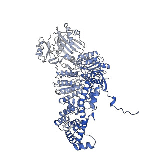 29668_8g1e_B_v1-0
Structure of ACLY-D1026A-products-asym