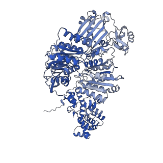 29668_8g1e_C_v1-0
Structure of ACLY-D1026A-products-asym