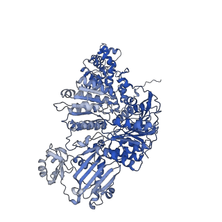 29668_8g1e_D_v1-0
Structure of ACLY-D1026A-products-asym