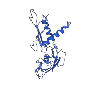 29676_8g1s_G_v1-1
Cryo-EM structure of 3DVA component 1 of Escherichia coli que-PEC (paused elongation complex) RNA Polymerase minus preQ1 ligand
