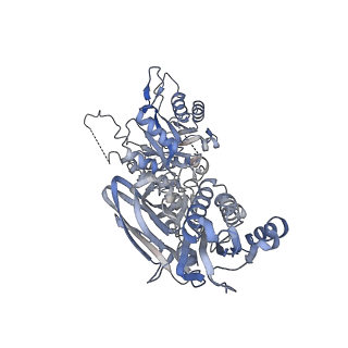 29677_8g1u_A_v1-1
Structure of the methylosome-Lsm10/11 complex