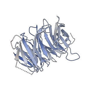 29677_8g1u_B_v1-1
Structure of the methylosome-Lsm10/11 complex