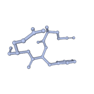 29677_8g1u_C_v1-1
Structure of the methylosome-Lsm10/11 complex